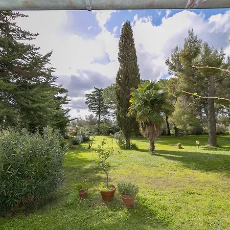 农家乐 Il Nazareno - Il Coppaio 切奇纳