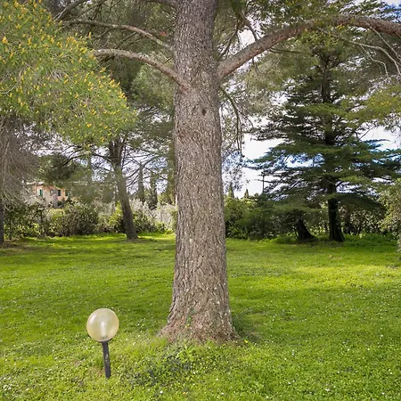 农家乐 Il Nazareno - Il Coppaio *